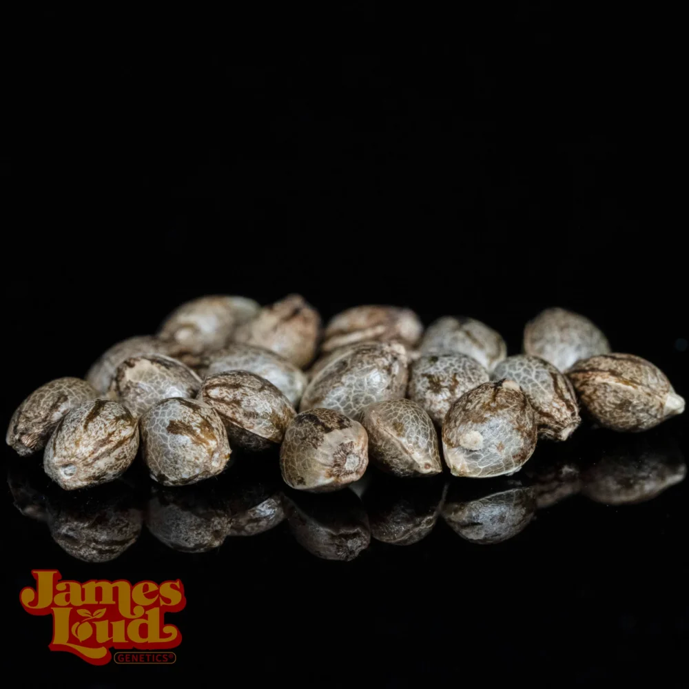 Sour Showerz
