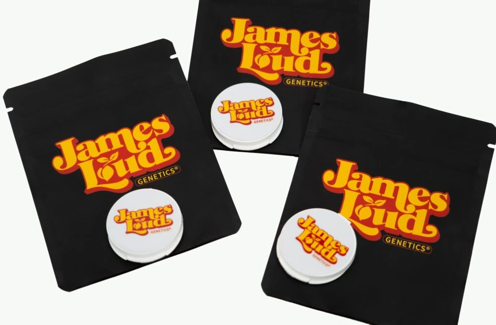 cannabis seed bundle packs (1) cannabis seed bundle packs (1)