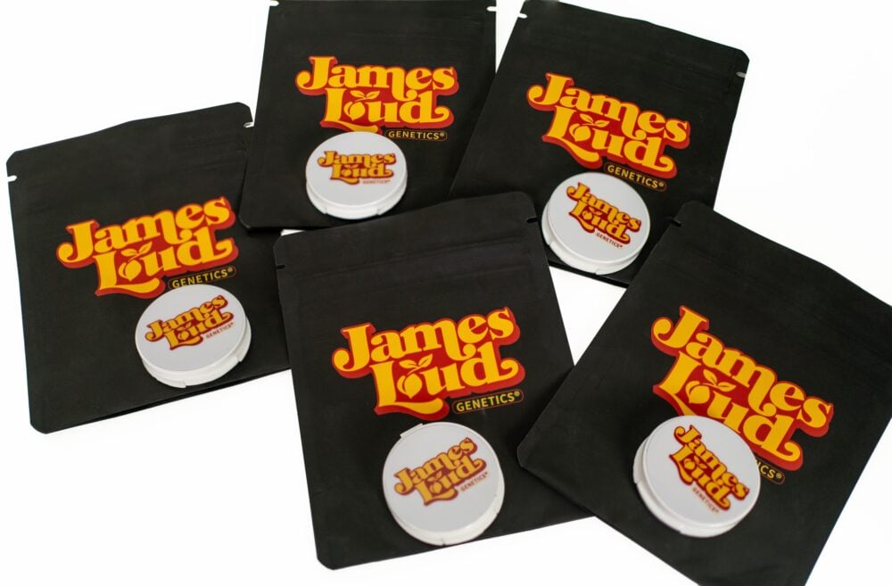 cannabis seed bundle packs (4) cannabis seed bundle packs (4)