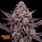 Blue Cherry Taffy